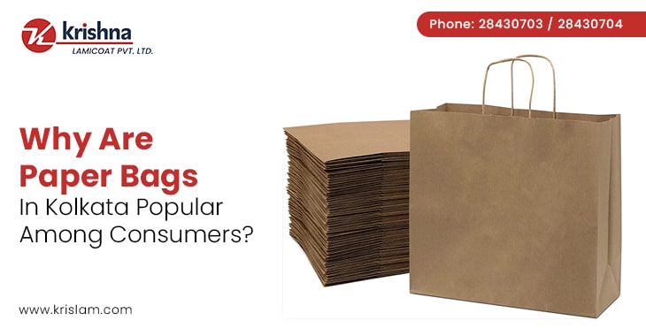 Why Are Paper Bags In Kolkata Popular Among Consumers?