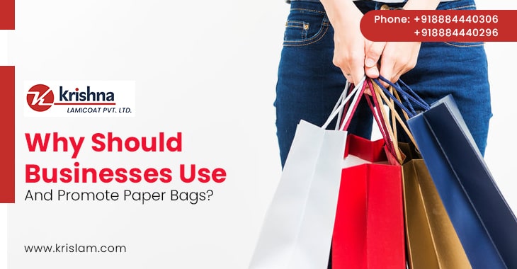 Why Should Businesses Use And Promote Paper Bags?