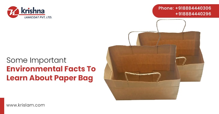 Some Important Environmental Facts To Learn About Paper Bag