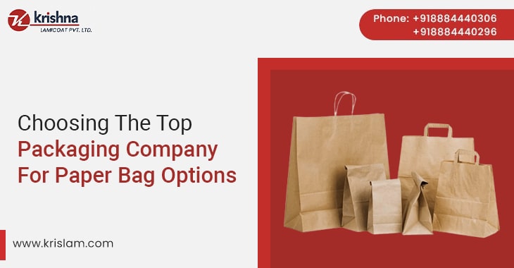 Choosing The Top Packaging Company For Paper Bag Options