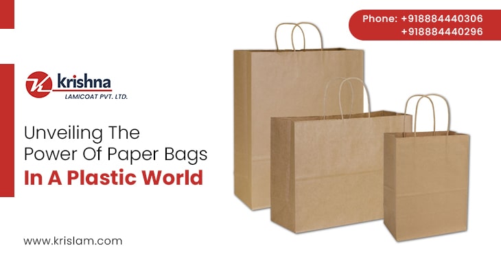 Unveiling The Power Of Paper Bags In A Plastic World