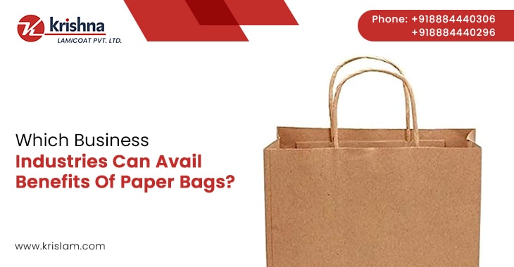 Which Business Industries Can Avail Benefits Of Paper Bags?