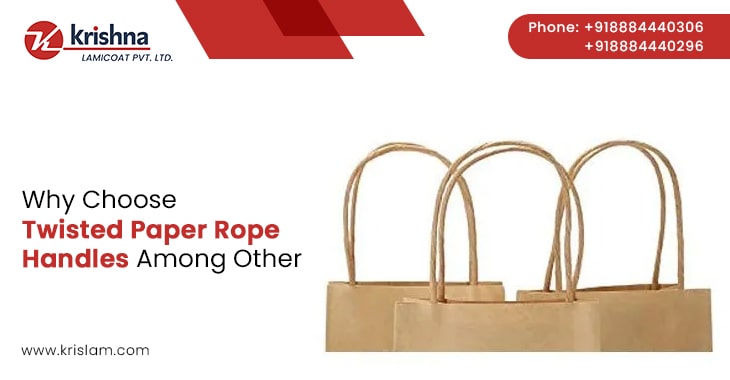 Why Choose Twisted Paper Rope Handles Among Other