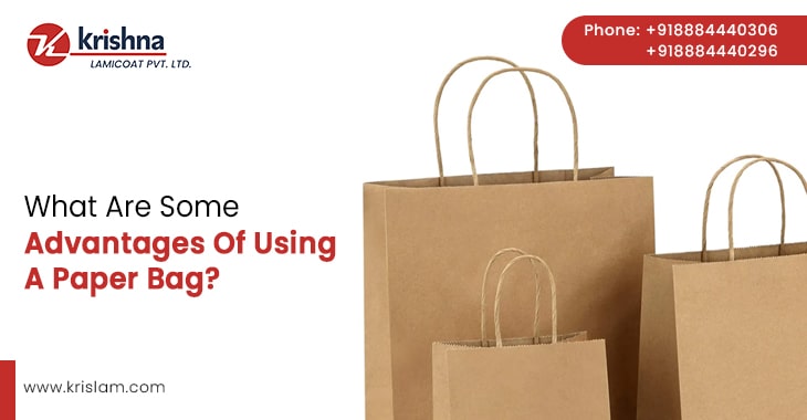 What Are Some Advantages Of Using A Paper Bag?