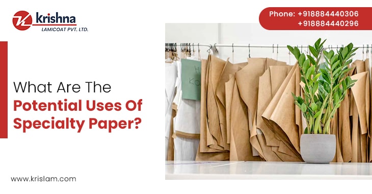 What Are The Potential Uses Of Specialty Paper?
